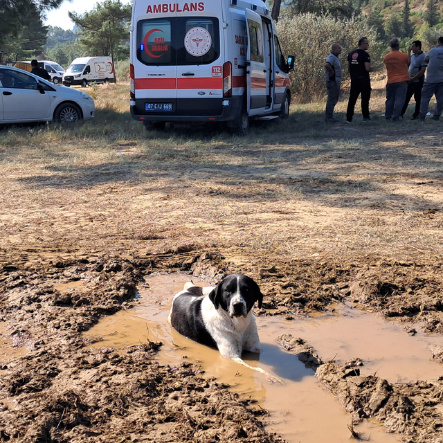 Antalya Serik'teki orman yangını kısmen kontrol altında (3)