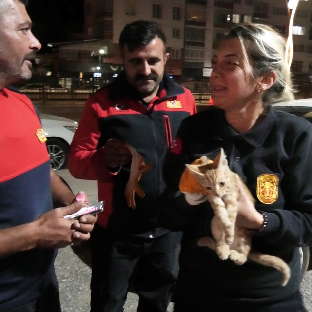 Yozgat'ta aracın motorunda mahsur kalan yavru kediyi itfaiye kurtardı