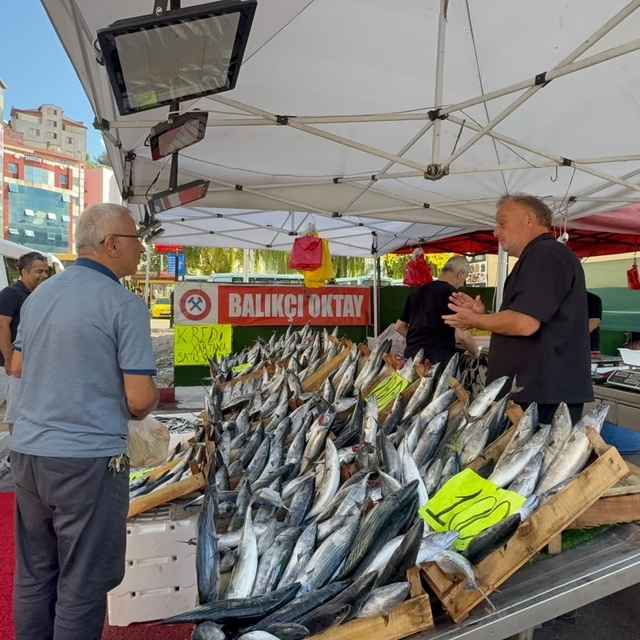 Zonguldak'ta palamut sezonu 100 liradan başladı