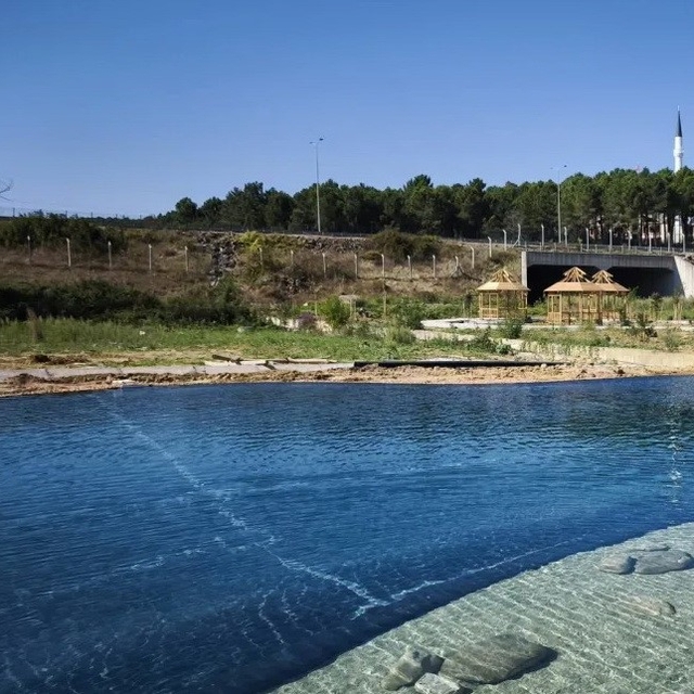 Sinop'ta yeşil kampüs çalışması