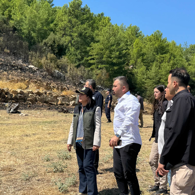 Burdur'da orman yangını (2)