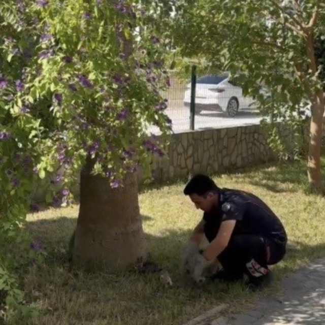 Havalandırma boşluğuna düşen 3 yavru kediyi itfaiye kurtardı