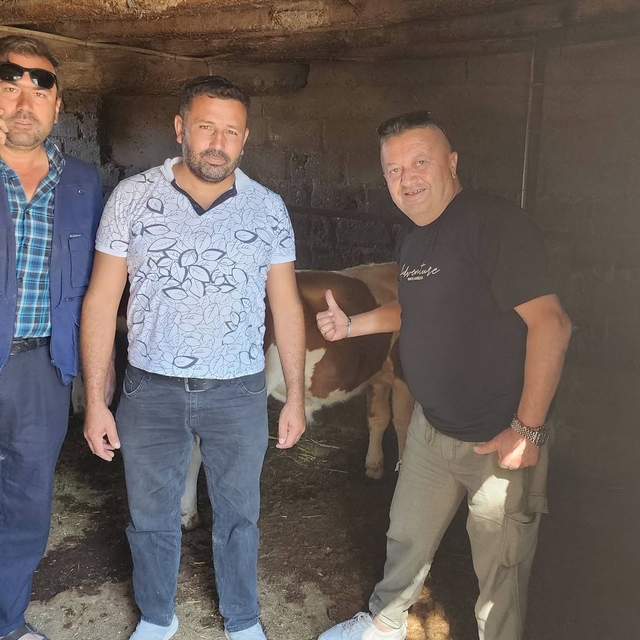 Çivril'de kaybolan iki buzağı mahalle halkını seferber etti