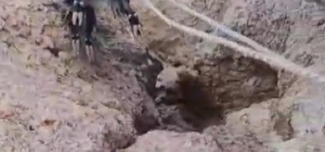 Kayalıklarda mahsur kalan keçiler kurtarıldı