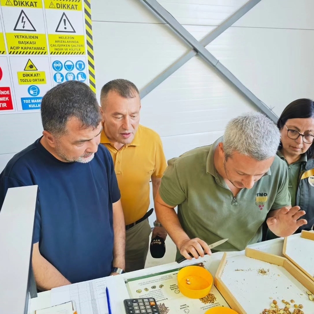 Yığılca TMO fındık alım merkezi açıldı