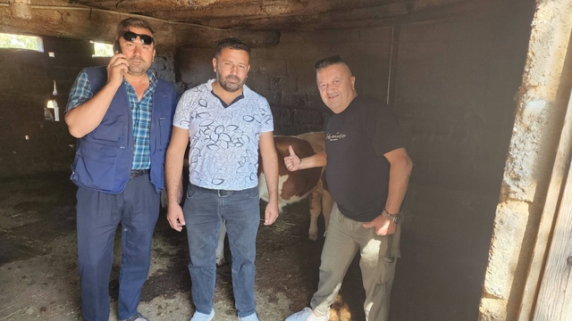 Çivril'de kaybolan iki buzağı mahalle halkını seferber etti