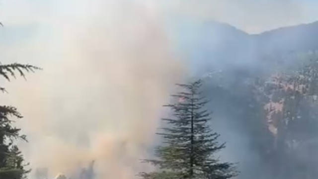 Adana'da 2 farklı bölgede orman yangını