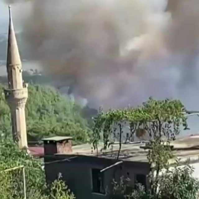 Adana'da orman yangını