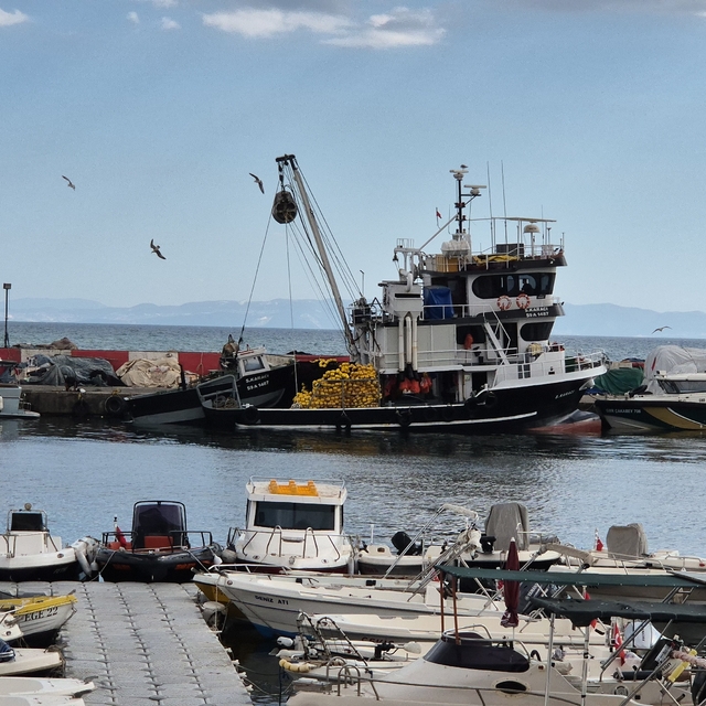 Marmara Denizi ulaşımına Poyraz engeli