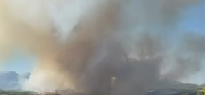 Adana'da 2 farklı bölgede orman yangını (2)