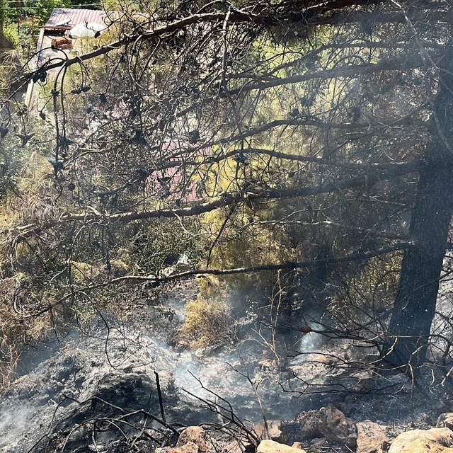 Alanya'da çalılık alanda çıkan yangın söndürüldü