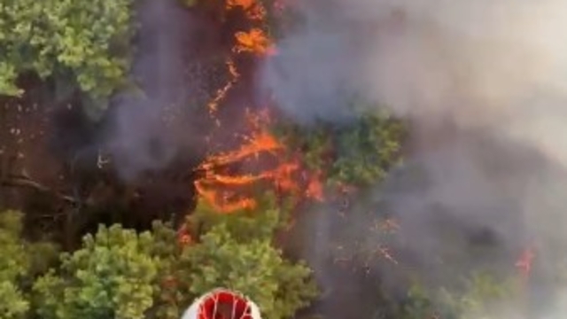 Antalya Aksu'da orman yangını