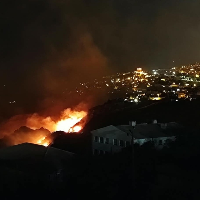 Mardin'de örtü yangını; müdahale sürüyor