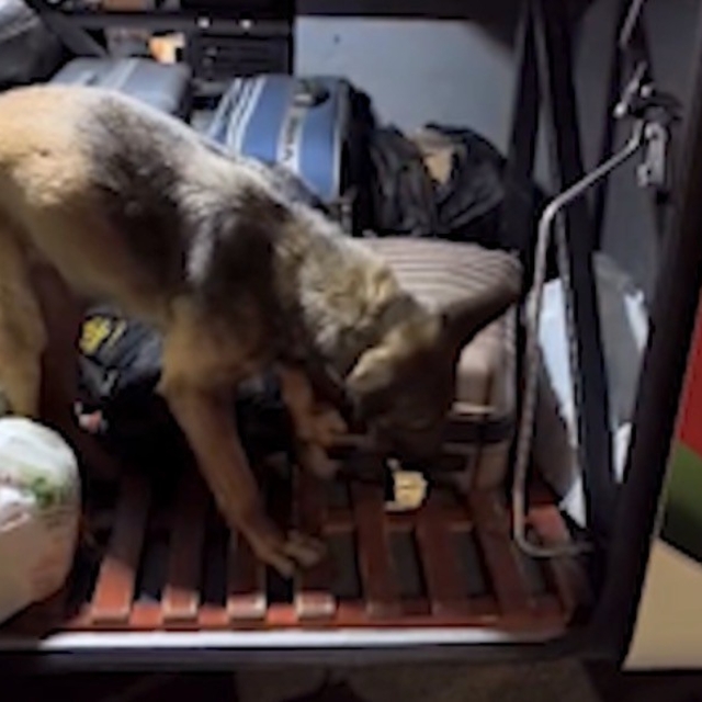 Kayseri'de yolcu otobüsü operasyonu: 3 kilo 420 gram uyuşturucuyla yakalana...