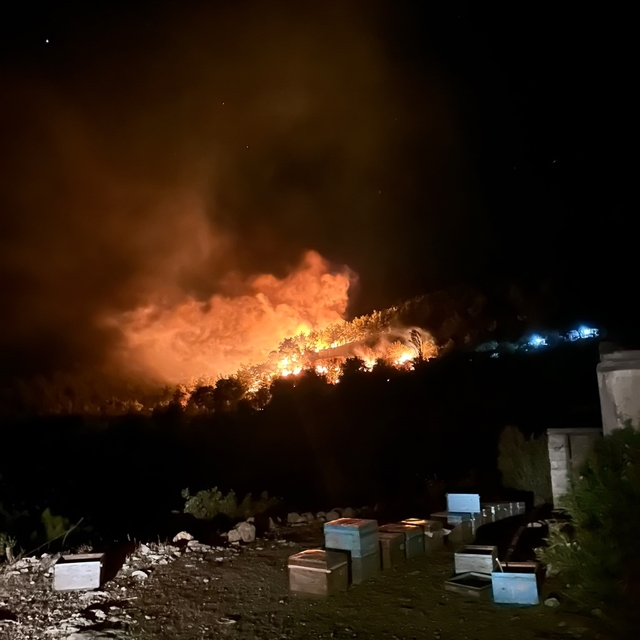 Kozan'da 2 ayrı noktada orman yangını; yerleşim yerleri tedbir amaçlı boşal...