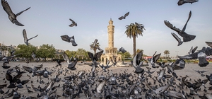 İzmir'in iklim deneyimi Avrupa'ya taşınacak