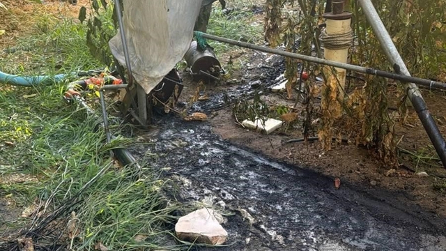 Bilecik'te çalılık yangını büyümeden söndürüldü