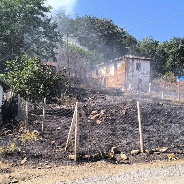 Bilecik'te orman yangınına sebebiyet veren şahıs gözaltına alındı
