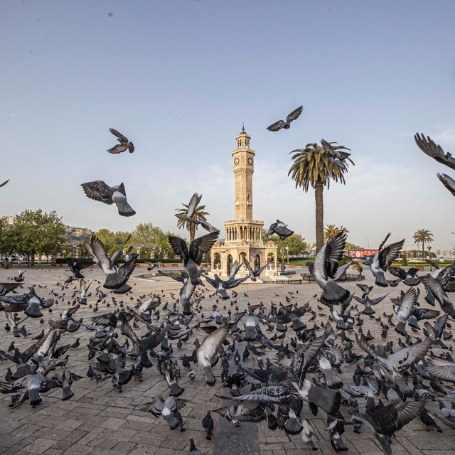 İzmir'in iklim deneyimi Avrupa'ya taşınacak