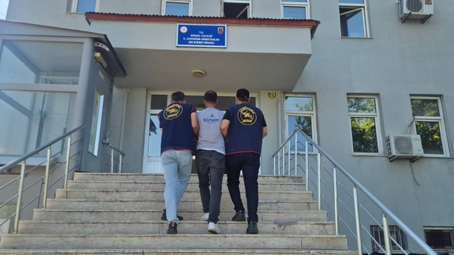 Bingöl'de 5 bin 176 kök kenevir ele geçirildi