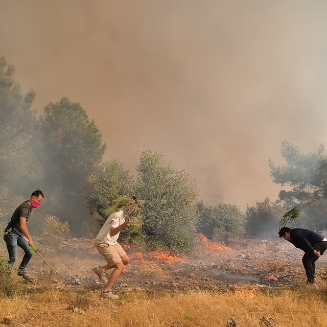 Aksu'daki orman yangınının kontrol altına alma çalışmaları devam ediyor
Sab...