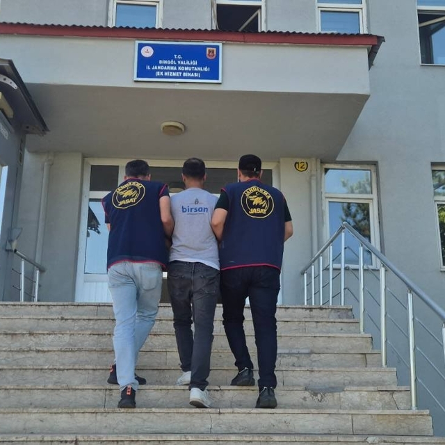 Bingöl'de 5 bin 176 kök kenevir ele geçirildi