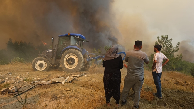 Galeri