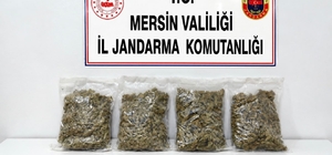 Mersin'de uyuşturucu operasyonu: 2 gözaltı