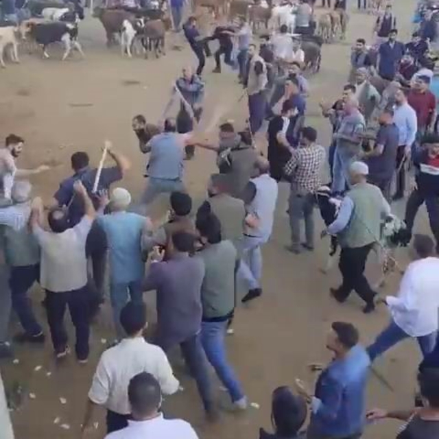 Diyarbakır Canlı Hayvan Borsası'nda alacak verecek kavgası: Ortalık savaş a...