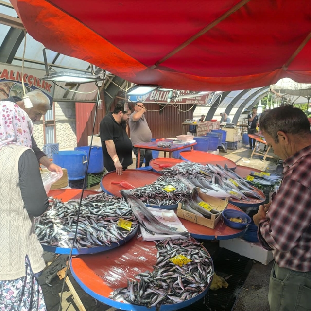 Afyonkarahisar'da balıkçı tezgahlarında hareketlilik başladı