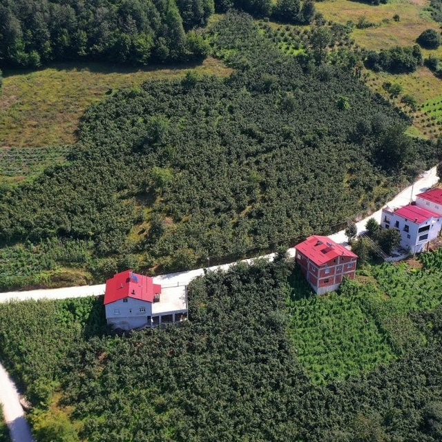 Ordu'da 35 yıllık yol sorunu çözüme kavuşturuldu