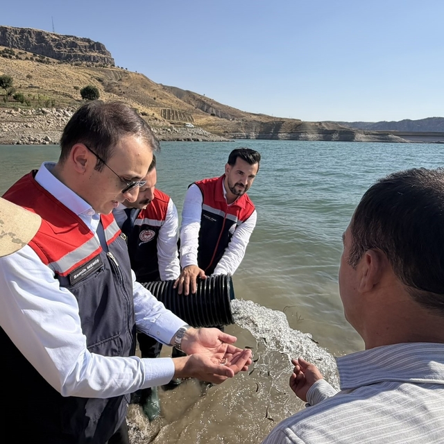 Şırnak'ta Ilısu Baraj Gölü'ne 800 bin yavru şabut balığı bırakıldı