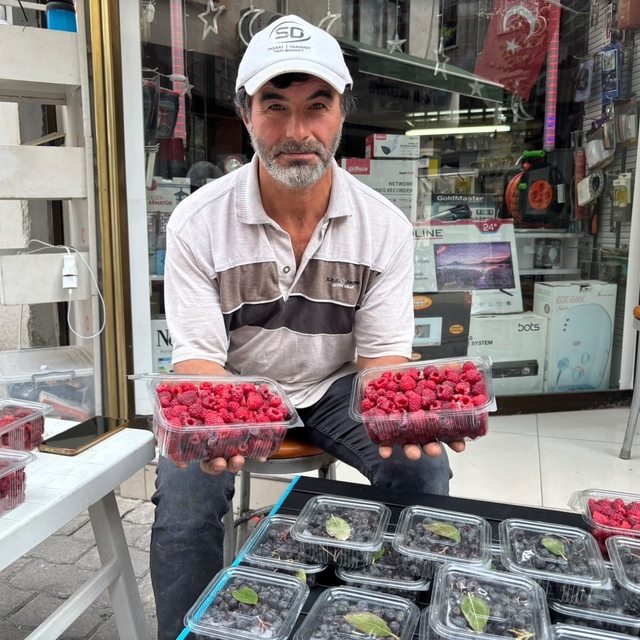 Kıraç arazileri aronya ve ahududugil yetiştirerek değerlendirdi