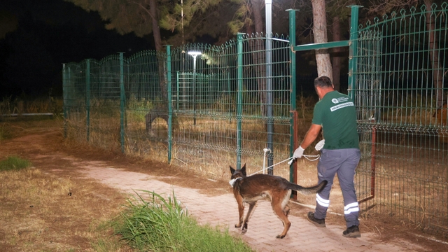 Büyükşehir ekipleri yangında can dostlar için seferber oldu
Alevlerden etkilenen 105 köpek kurtarılıp güvenli bölgeye alındı
Yaralanan ve dumandan etkilenen köpekler büyükşehir barınma merkezine getirildi