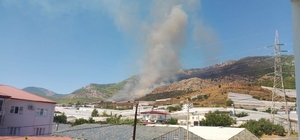 Mersin'de orman yangını