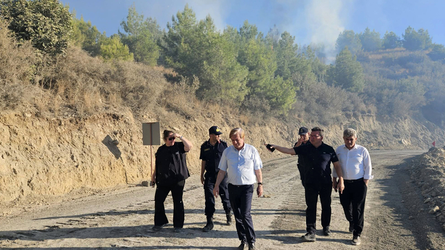 Antalya Serik'teki yangın kontrol altına alındı; 6 ev yandı (2)