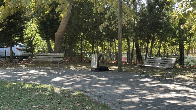 Cami parkındaki bankta şüpheli ölüm
