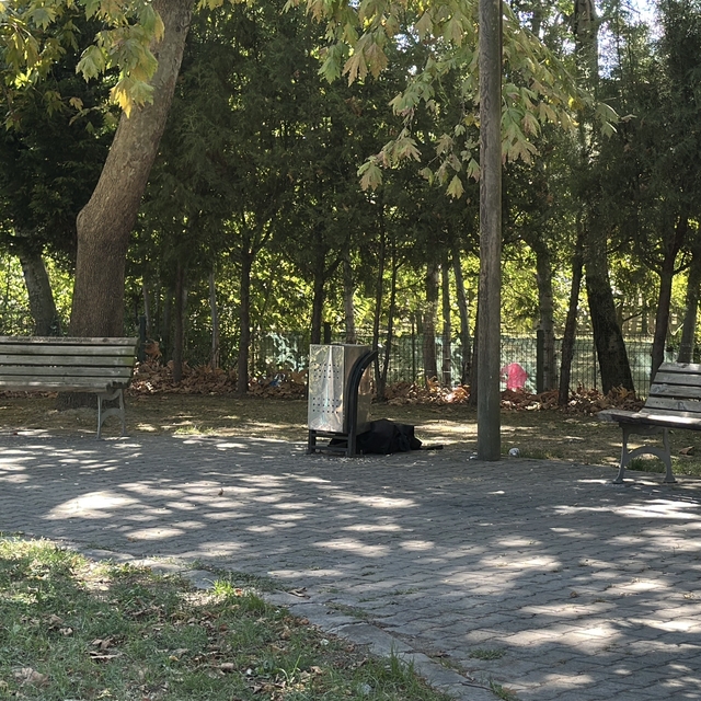 Cami parkındaki bankta şüpheli ölüm