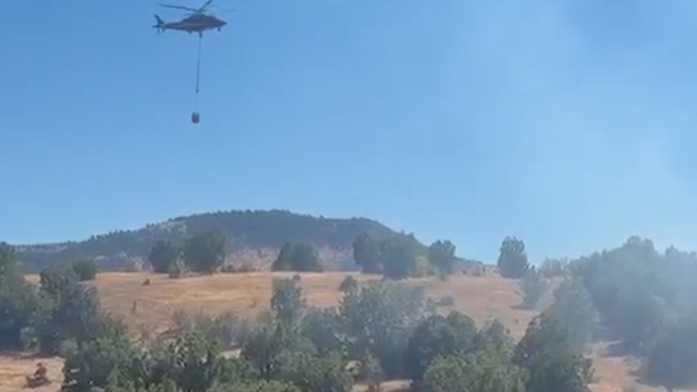 Bolu'daki orman yangını kontrol altına alındı