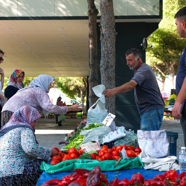 Hacıömerli'de salı pazarı bereketi
Hacıömerli'de pazar geleneği canlandı