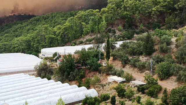 Antalya Kumluca'da orman yangını (2)