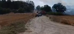 Arazide çıkan yangın, ekiplerin hızlı müdahalesiyle söndürüldü