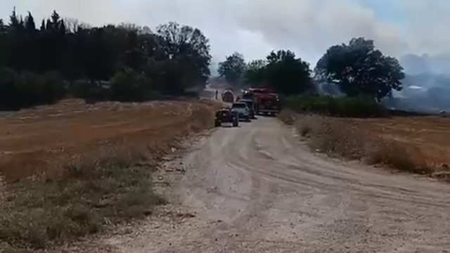 Arazide çıkan yangın, ekiplerin hızlı müdahalesiyle söndürüldü