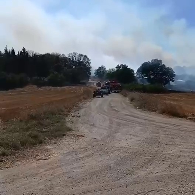 Arazide çıkan yangın, ekiplerin hızlı müdahalesiyle söndürüldü