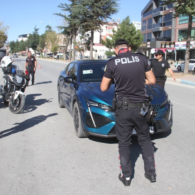 Beyşehir'de Şahinlerden sonra Yunuslar da görev başında