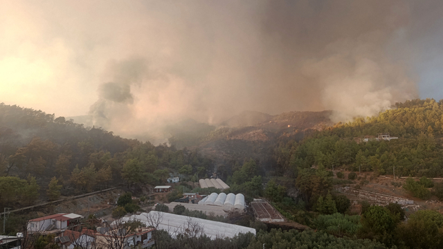 Antalya Kumluca'da orman yangını (3)