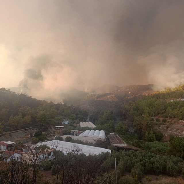 Antalya Kumluca'da orman yangını (3)
