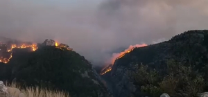 Kozan'da 2 ayrı noktada orman yangını; yerleşim yerleri tedbir amaçlı boşal...