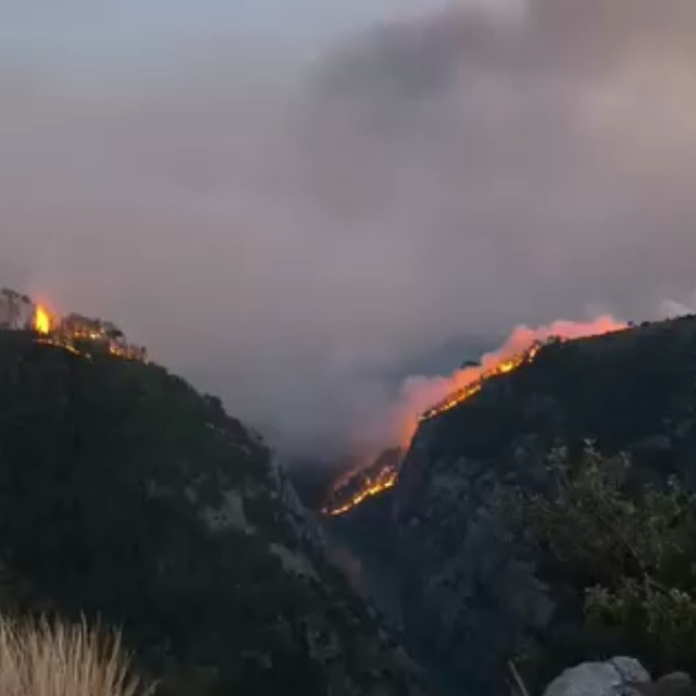 Kozan'da 2 ayrı noktada orman yangını; yerleşim yerleri tedbir amaçlı boşal...