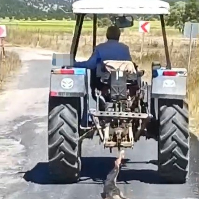 Köpeği traktöre bağlayarak sürükledi